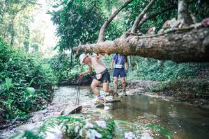 BIB: 
                            <button type="button" onclick="openModal(25434086)" class="btn btn-primary btn-sm float-right btn-popup" data-toggle="modal" data-target=".modal-high-quality">
                        <i class="fas fa-shopping-cart"></i> Add to Cart
                    </button>
                                            <button type="button" onclick="isThisMe(25434086, true)" class="btn btn-success btn-sm float-right btn-popup btn-isme hidden" data-toggle="tooltip" data-placement="bottom" title="นี่คือรูปของคุณใช่ไหม คลิกที่นี่เพื่อเอาเข้าอัลบั้ม">
                        <i class="fas fa-plus"></i> Add to album
                    </button>
                    <button type="button" onclick="isThisMe(25434086, false)" class="btn btn-warning btn-sm float-right btn-popup btn-isnotme hidden">
                        <i class="fas fa-ban"></i> Remove from album
                    </button>